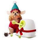 Lançador Automático de Bolas ALL FOR PAWS para Cães Pequenos