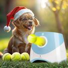 Lançador automático de bolas para cães WRTZ para cães pequenos e médios