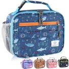 Lancheira Genteen Genteen Kids Shark Insulated Lancheira Lancheira Genteen Genteen Kids Shark Insulated Lancheira