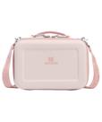 Lancheira STANLEY All Day Mini 4,2 L de quartzo rosa isolado em EVA
