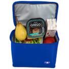Lancheira Térmica Infantil Azul Pequena Marmita Escolar Refeição Frutas Lanche Compacta Criança Menino Passeio Portátil Leve Bolsa Para Almoço