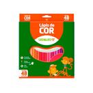 Lapis 48 cores resina sextavado und leoeleo