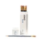 Lápis Blackwing Palomino 602 - Pacote com 12 Unidades - Grafite Cinza
