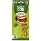 Lápis de Cor 12 Cores Eco Sextavado Flex Ecológico Leoeleo Cores Vibrantes, Sustentável, Uso Escol