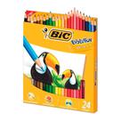 Lápis de Cor 24 Cores Escolar Ponta Resistente Bic Evolution