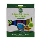 Lapis de cor 24 cores sustetavel Sextavado