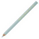 Lápis de Cor Caran d Ache Maxi Metallic Verde Unitário 494.710