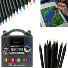 Lápis De Cor Carbonline 100 Cores Macio Para Pintar Leo E Leo