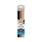 Lapis De Cor Criatic Pele Com 06 Cores