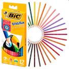 Lápis de Cor Evolution Sextavado 12 Cores Bic