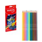 Lápis de Cor Molin Metálico e Pastel 12 Cores