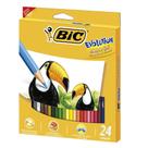 Lápis de Cor Sextavado BIC Evolution, 24 Cores Vivas e Vibrantes, Ponta Resistente, Seguro para Crianças