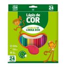 Lápis de Cor Sextavado Caixa com 24 cores - Leo&Leo