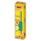Lápis HB Nº 2 Evolution Hexagonal 12 UN 1102682/1 Bic 03457