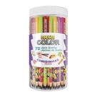 Lápis Multicolor Grafite Animais - Embalagem com 72 Unidades