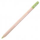 Lápis Pastel Seco Caran dAche 243 Light Olive 20% Lápis Pastel Seco Caran dAche 243 Light Olive 20%