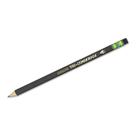Lápis Ticonderoga Tri-Conderoga Triangular 2, pacote com 12