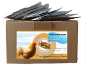 Larvas de tenébrio para pets Classic Flock 5 lb cozidas e frescas, 24 sacos Larvas de tenébrio para pets Classic Flock 5 lb cozidas e frescas, 24 sacos