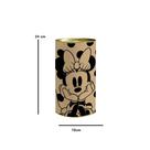 Lata De Presente E Lembrancinha Minnie Cromus