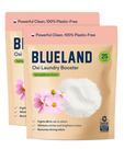 Laundry Booster BLUELAND Oxi Spring Bloom Scent 1,04 L, pacote com 2