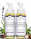 Lavagem facial para pele sensível de árvore a banheira com aloe vera e lavanda