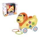 Leaozinho com luz e som lion fun
