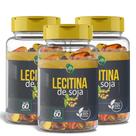 Lecitina de Soja 1000mg 60 Cápsulas Suplemento Natural Rico em Fosfolipídios e Colina para o BemEstar Hormonal e Equilíbrio do Organismo