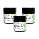 Lecitina de Soja Naturalis 60 Cápsulas Kit com 3 Potes Lecitina de Soja Naturalis 60 Cápsulas Kit com 3 Potes