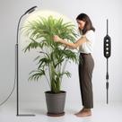 LED Grow Light GLOWRIUM 20W de espectro completo com suporte 3/9/12h