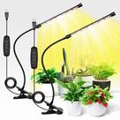 LED Grow Light iPower 21 Full Spectrum para plantas de interior LED Grow Light iPower 21 Full Spectrum para plantas de interior