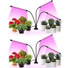 LED Grow Light iPower 3 Heads Red & Blue Spectrum com temporizador