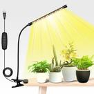 LED Grow Light iPower com pescoço de ganso ajustável 21W