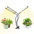 LED Grow Light iPower Full Spectrum para plantas de interior