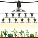 LED Grow Lights Espird Outdoor à prova d'água para estufa LED Grow Lights Espird Outdoor à prova d'água para estufa