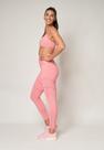 Legging Power Suplex Alta Qualidade e Conforto WeGain Legging Power Suplex Alta Qualidade e Conforto WeGain