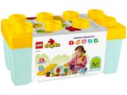Lego Duplo Horta Orgânica 10984 - 43 Peças