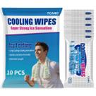 Lenços Corporais Refrescantes TCANG 10 Unidades Sem Álcool 63 x 25 cm