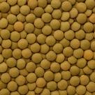 Lentilha Canadense De Alta Qualidade 100g