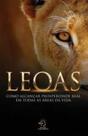 Leoas: como alcançar prosperidade real em todas as áreas da vida