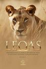 Leoas - Vol. 2