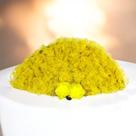 Leque da Cigana Amarela Elegância e Energia de Oxum Super Luxo