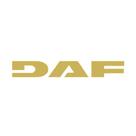 Letreiro Para DAF - Dourado