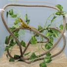 Lianas y Hojas Flexibles para Reptiles 2.5 m - Coolrunner Lianas y Hojas Flexibles para Reptiles 2.5 m - Coolrunner