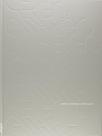 Liber Albus Livro Branco Sergio Camargo Editora Cosac Naify Capa Dura Liber Albus Livro Branco Sergio Camargo Editora Cosac Naify Capa Dura