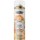 Limpa Ar Condicionado Madri 200ml Elimina Odores e Bactérias, Dá Frescor Duradouro Automotivo Limpa Ar Condicionado Madri 200ml Elimina Odores e Bactérias, Dá Frescor Duradouro Automotivo