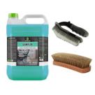 Limpa Carpete Carp 20 (BRINDE Escovas Cerdas Duras + Macias)