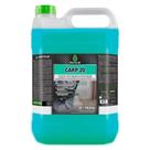 Limpa Carpete Tapetes Estofados Prot Carp-20 Protelim 5 L