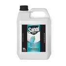 Limpa ceramica 5l sanol pro