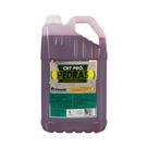 Limpa pedra concentrado crt pró pedras 5lt cleaner
