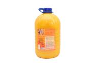 Limpa Piso Concentrado em Pasta Pinho 5L Daflor Original